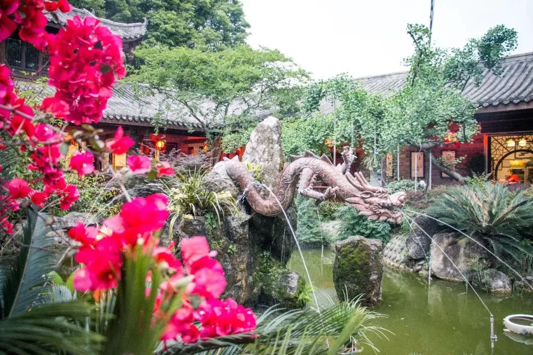 篮球协调训练的有效工具和设备推荐_2